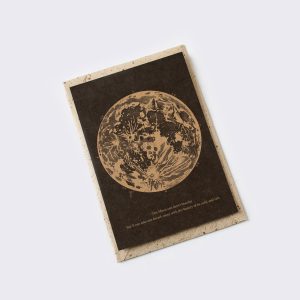 THE MOON POST CARD